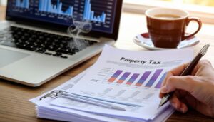 navigating property tax appeals